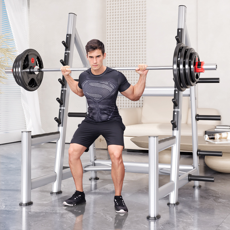 Squat Rack Power Cage, Plate L - đánh giá và giá Heavy Equipment Lifting