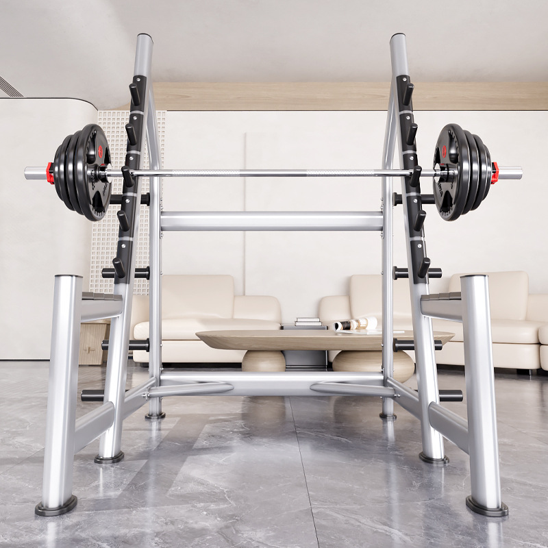 Squat Rack Power Cage, Plate L - đánh giá và giá Heavy Equipment Lifting