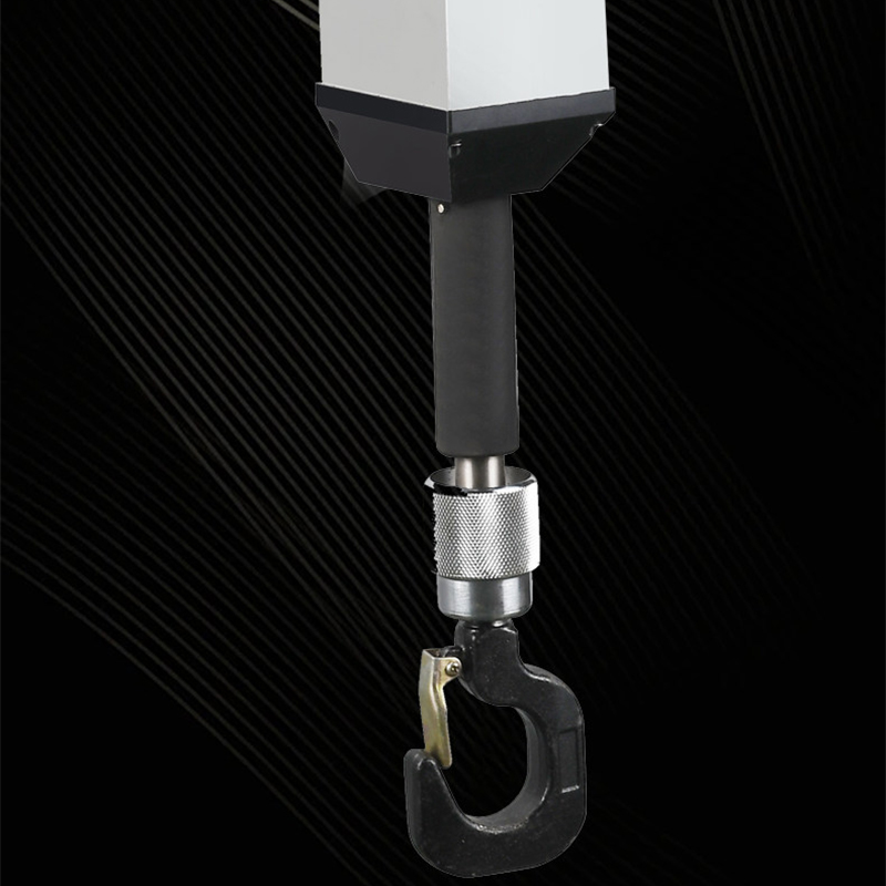 Coaxial Chain Electric Hoist,  - đánh giá và giá Electric Chain Hoist