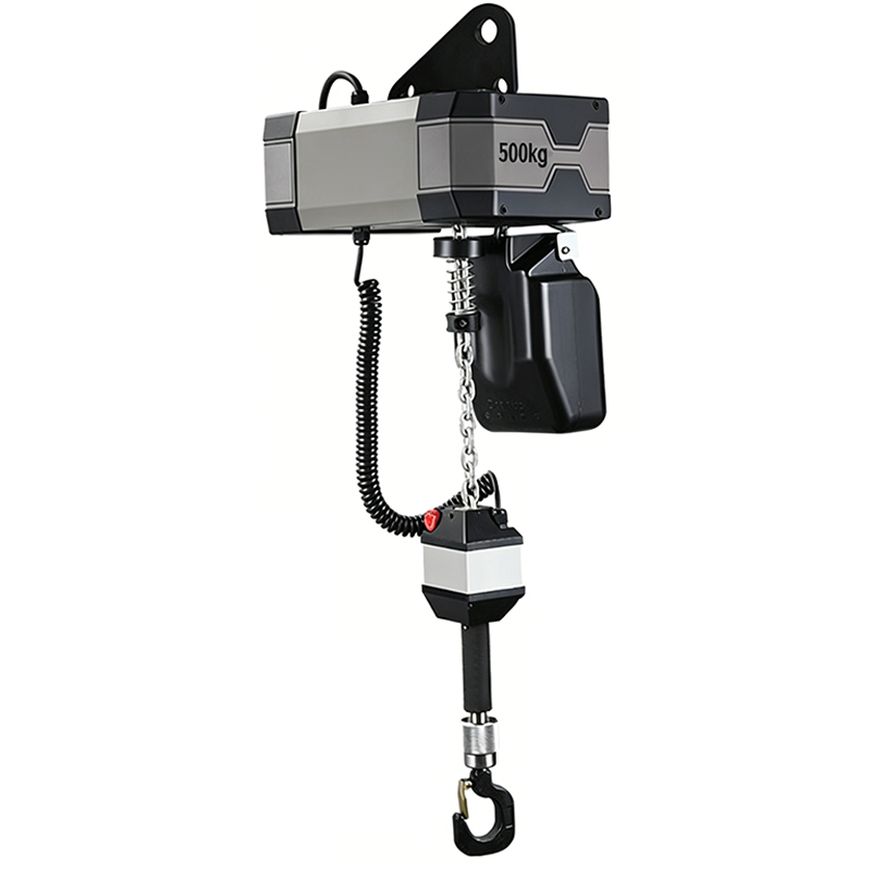 Coaxial Chain Electric Hoist,  - đánh giá và giá Electric Chain Hoist