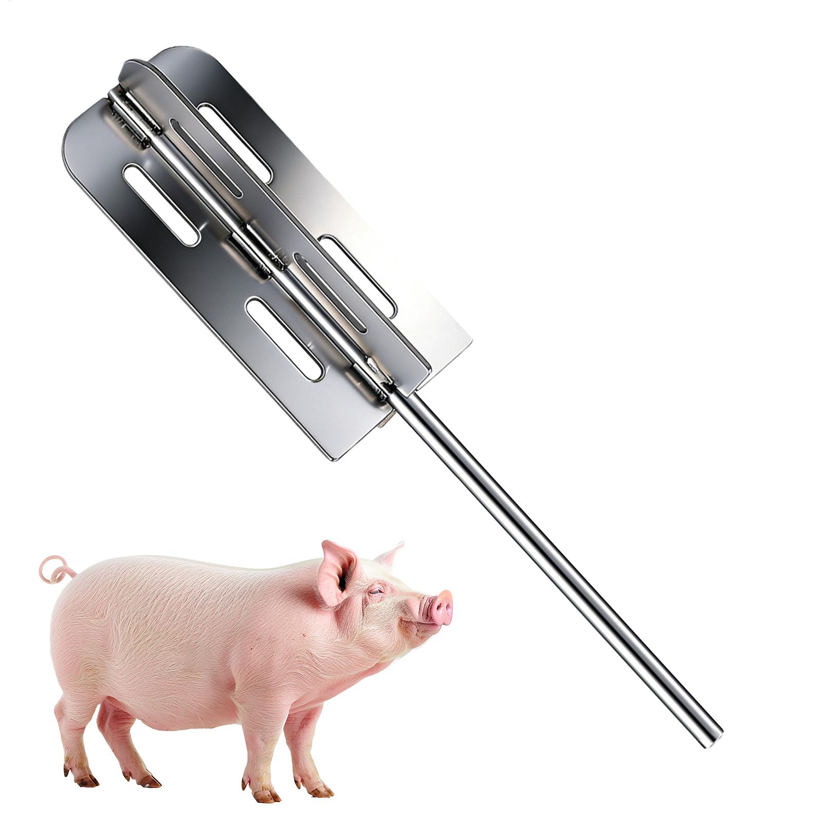 Hog Hair Removal Tool Stainles - đánh giá và giá Tools Heavy Equipment