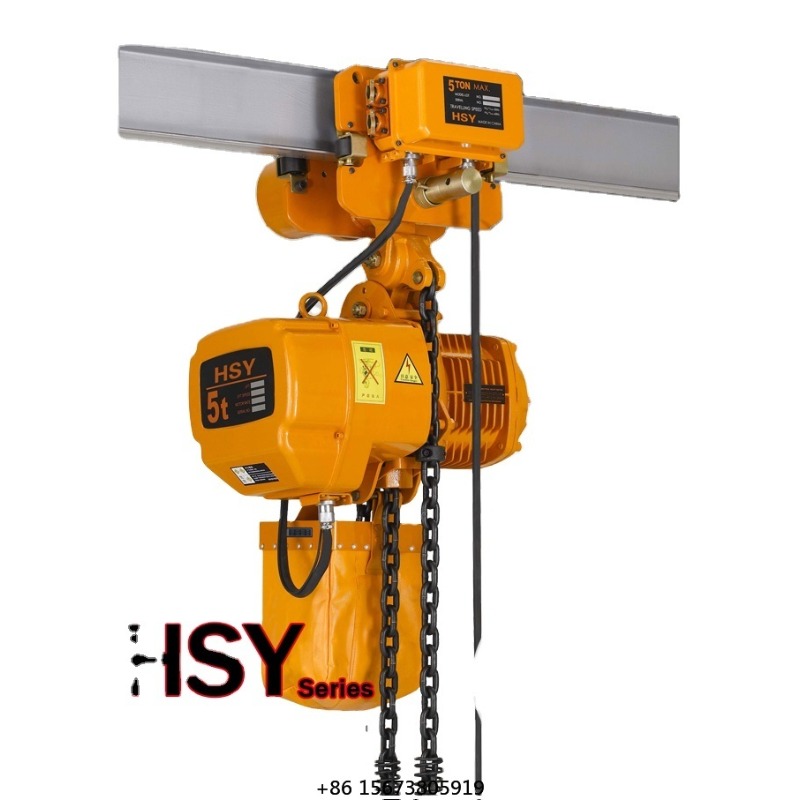 200kg 1000kg Philippines Price - đánh giá và giá Electric Chain Hoist